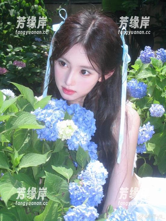 不止是夏天：怡子yiii最新壁纸合集，看过的人都想“纠结”！