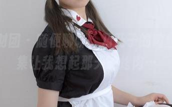 森萝财团 – 随便聊聊，乃乃子的肉丝写真集让我想起那天的烤肉…